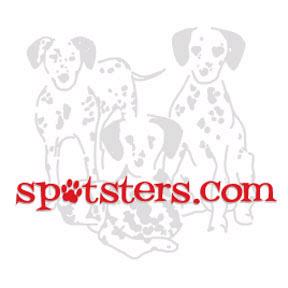 Click to go to Spotsters